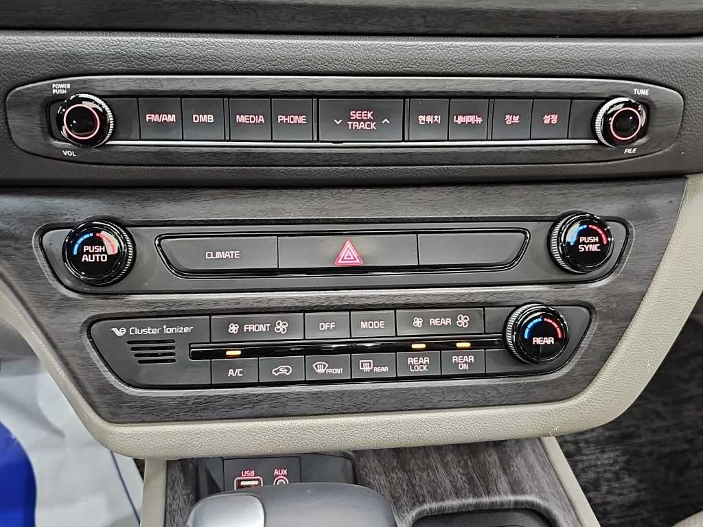 KIA Carnival - Vista 10