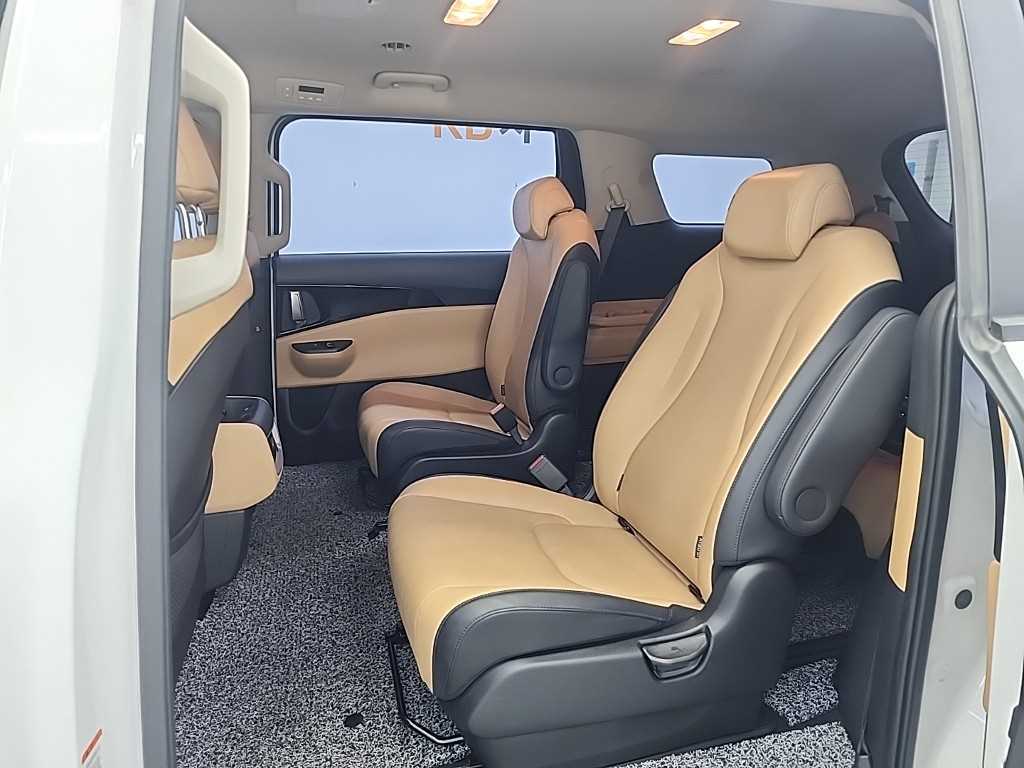 KIA Carnival - Vista 12