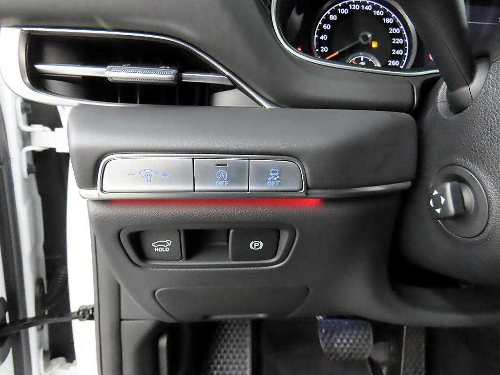 Genesis GV80 - Vista 12