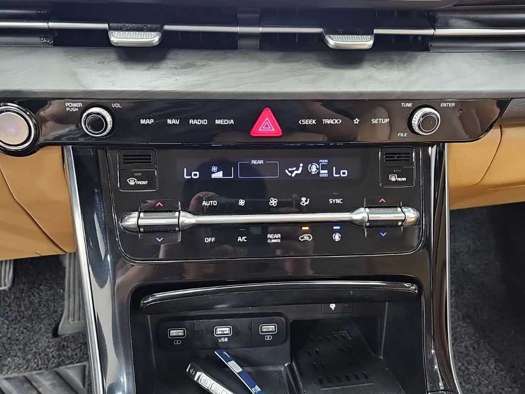 KIA Carnival - Vista 10
