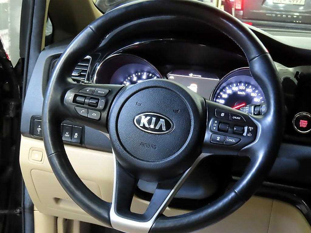 KIA Carnival - Vista 8