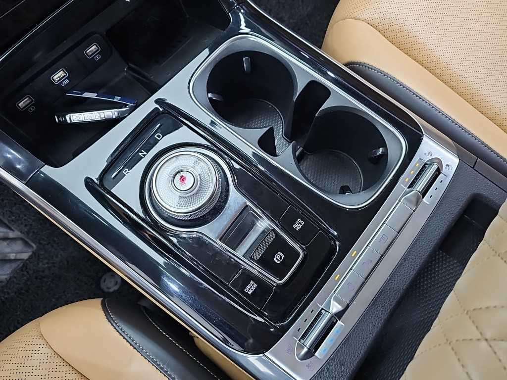 KIA Carnival - Vista 8
