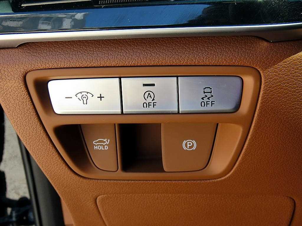 Genesis G80 - Vista 12