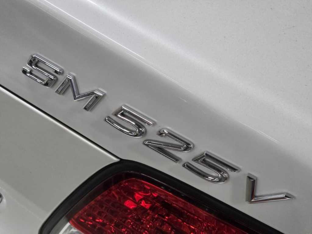 SAMSUNG SM5