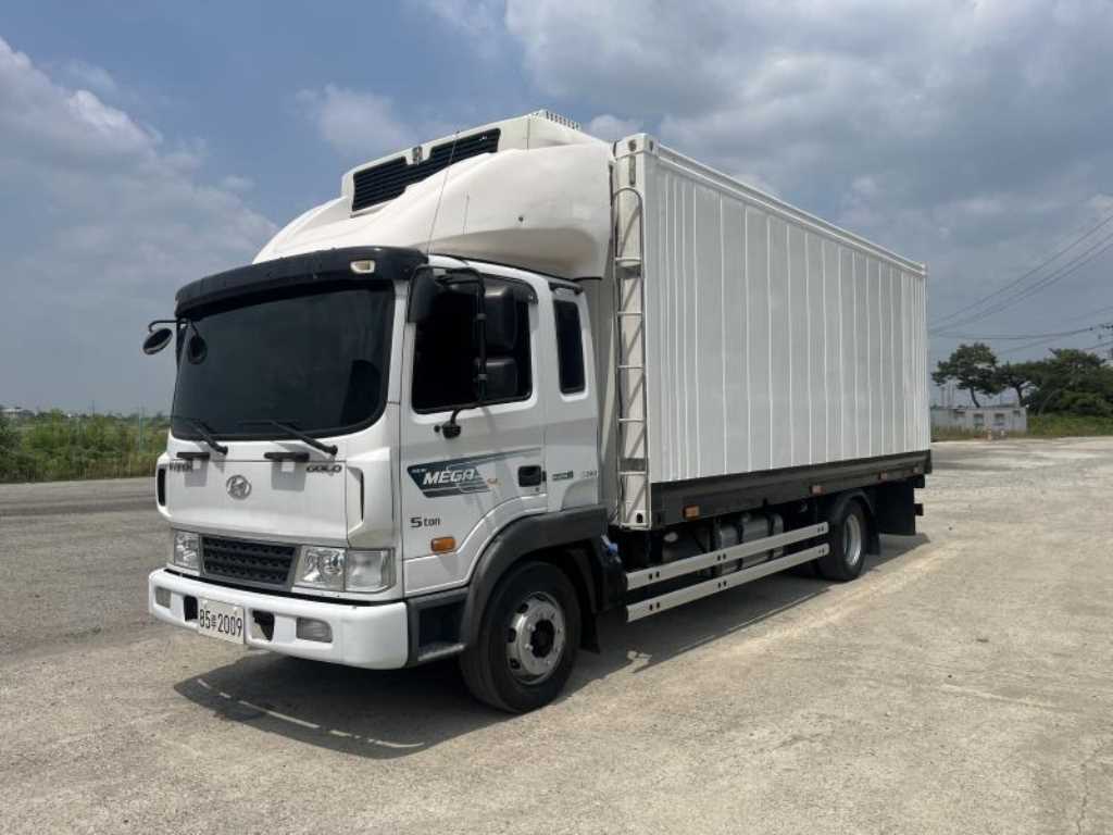 medium and large cargo truck 2019 — Zona Franca Iquique
