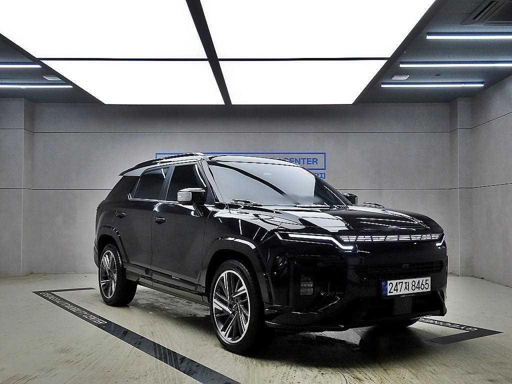 Ssangyong Action