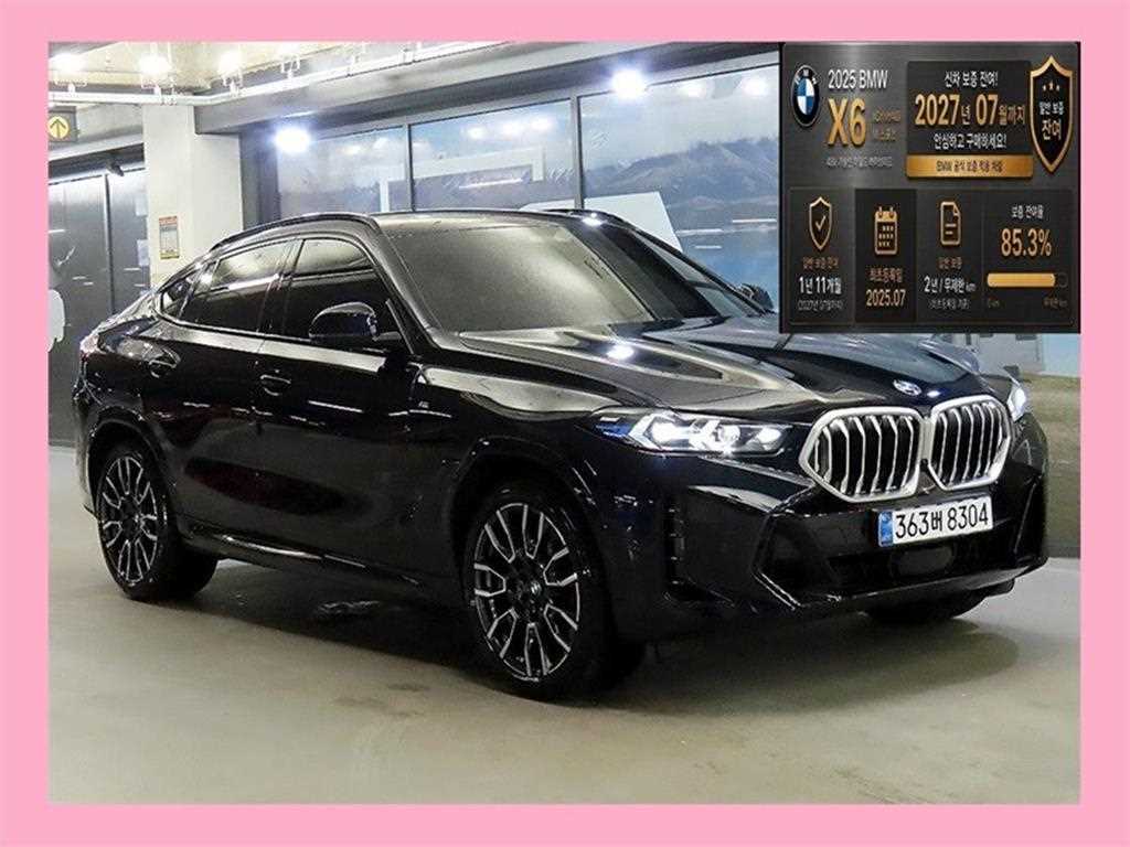 BMW X6