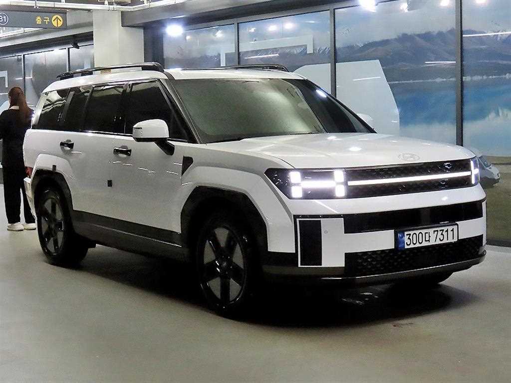 HYUNDAI Santa Fe 2024
