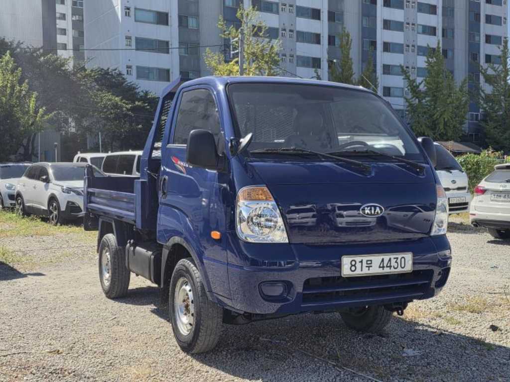 Small Truck (Completed) Dump