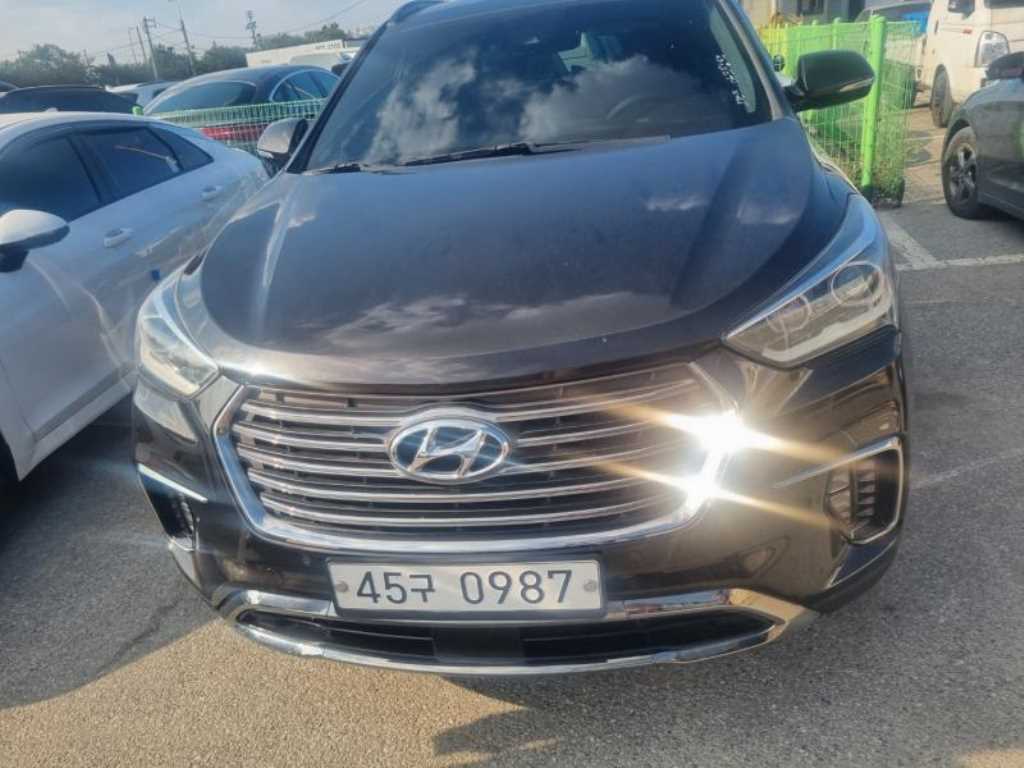 HYUNDAI Maxcruz