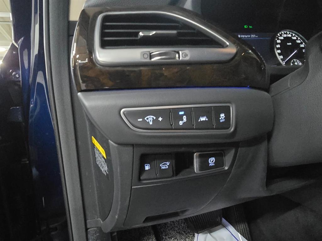 Genesis G90 - Vista 9