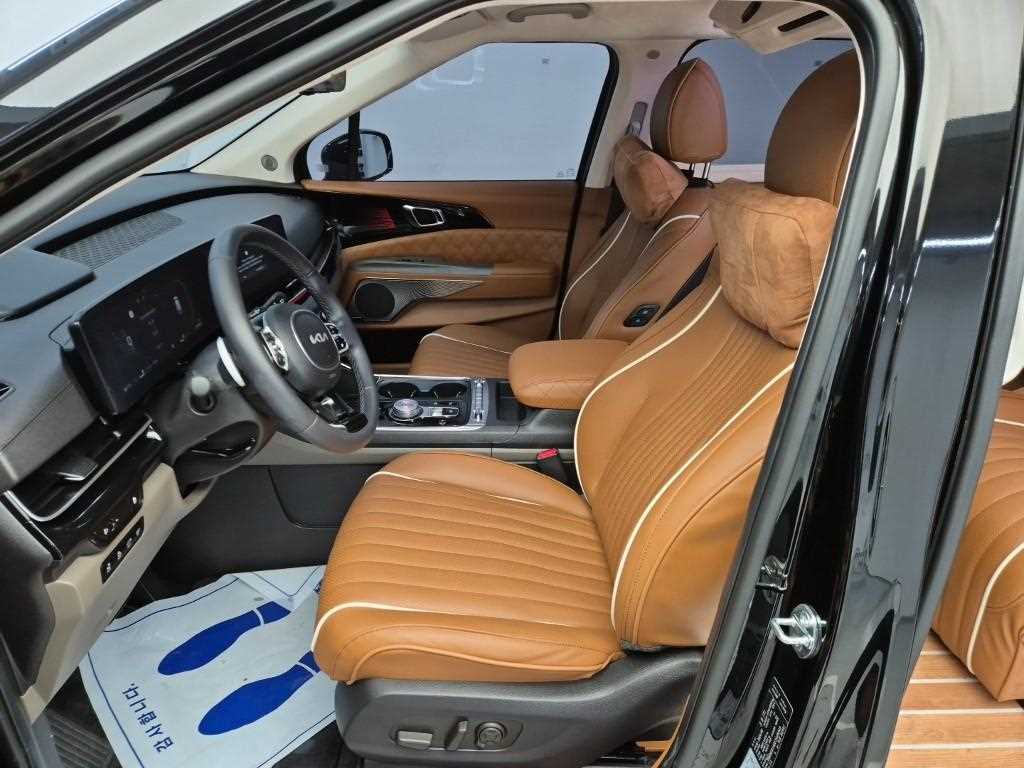 KIA Carnival - Vista 11