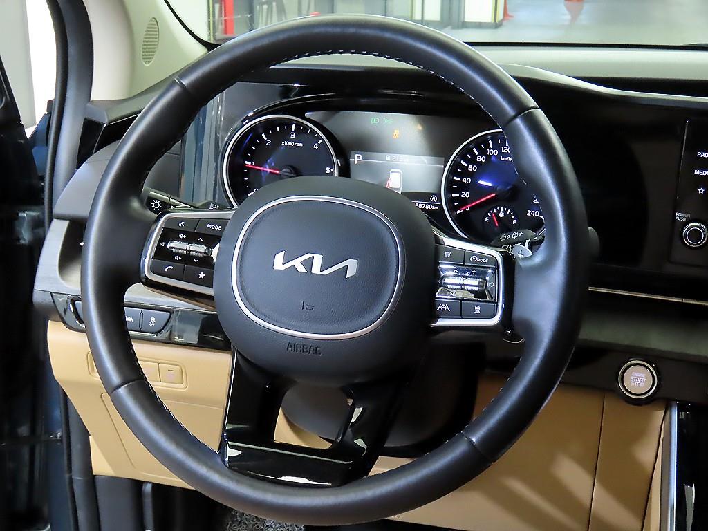 KIA Carnival - Vista 8