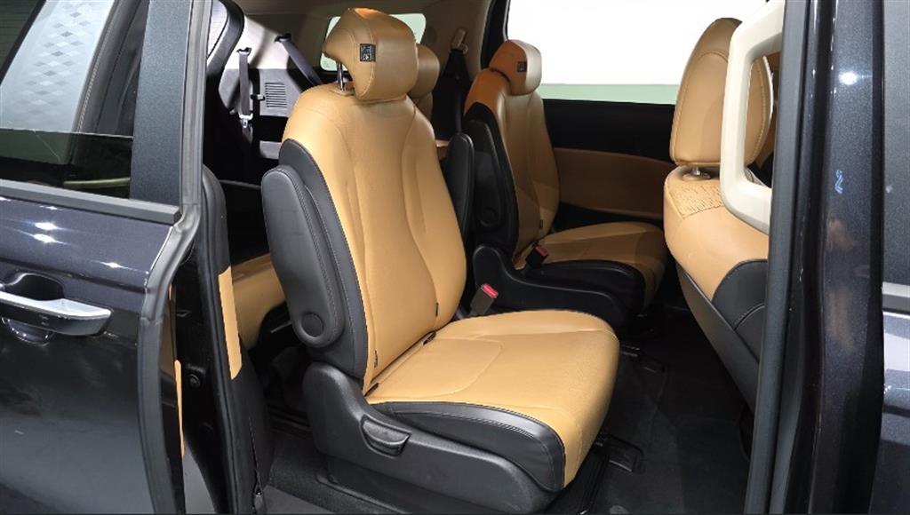 KIA Carnival - Vista 12