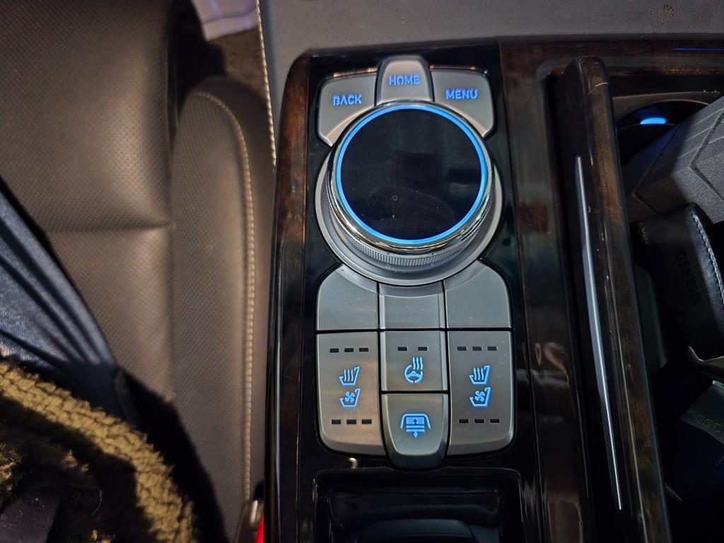 Genesis G90 - Vista 11