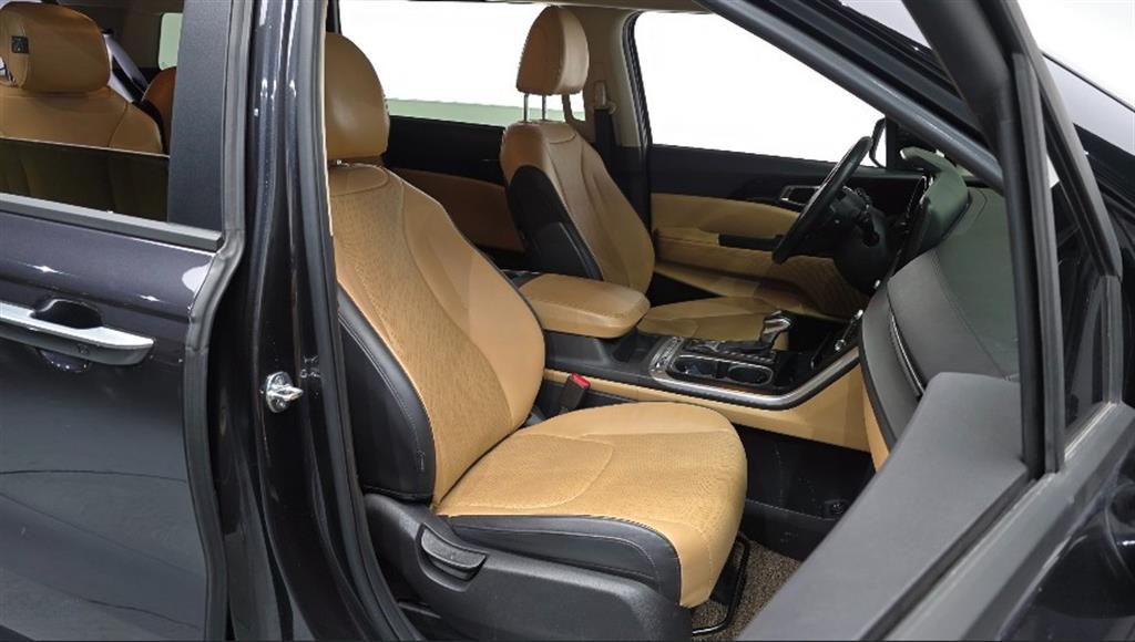 KIA Carnival - Vista 10