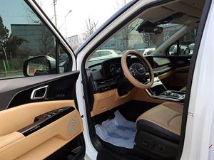 KIA Carnival - Vista 12