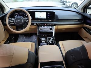 KIA Carnival - Vista 10