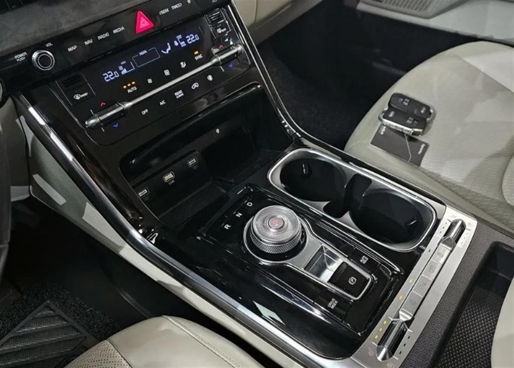 KIA Carnival - Vista 9