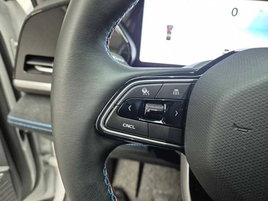 SAMSUNG Grand Koleos - Vista 11