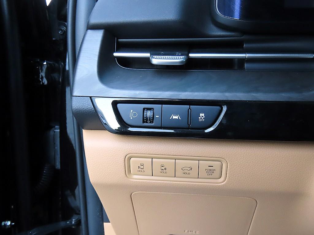 KIA Carnival - Vista 12