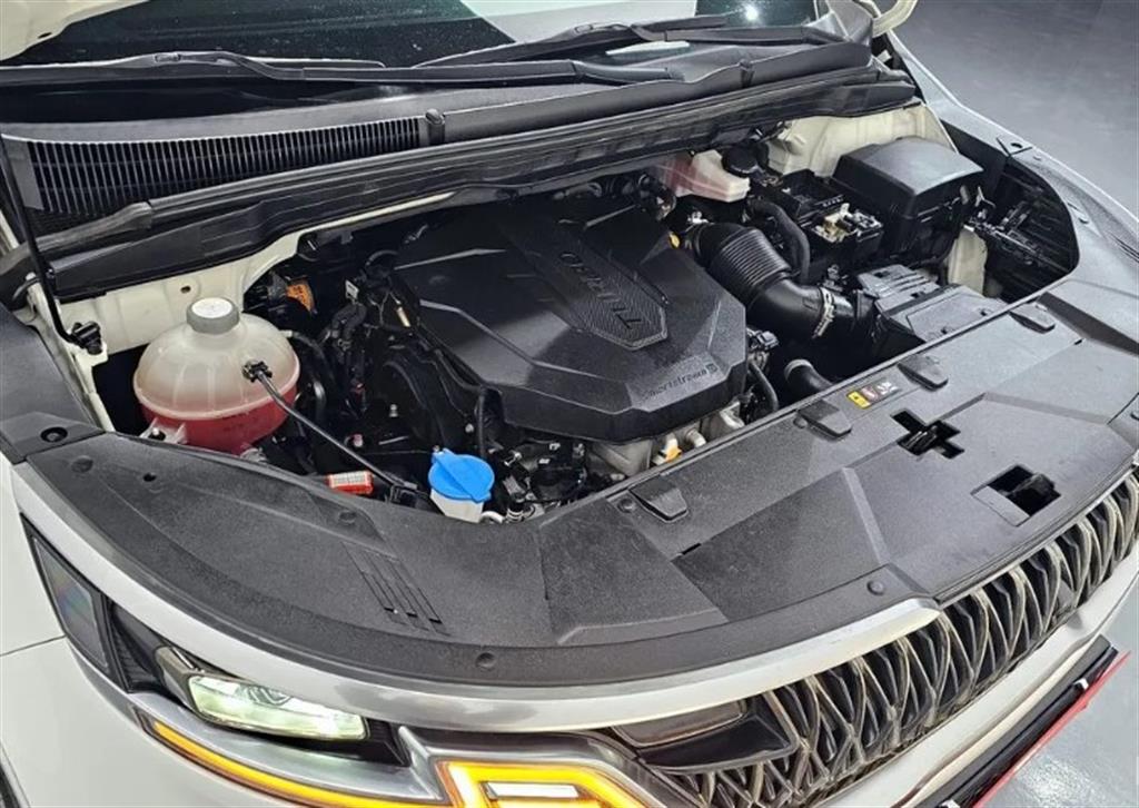 KIA Carnival - Vista 6