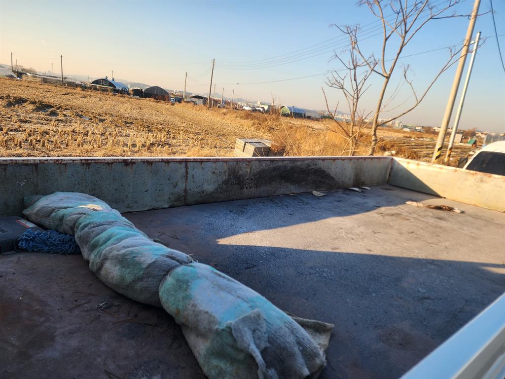 medium and large cargo Cargo - Vista 11