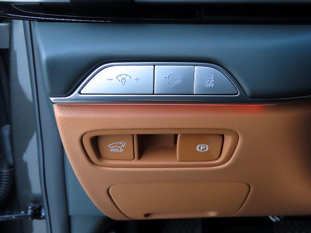 Genesis GV80 - Vista 12