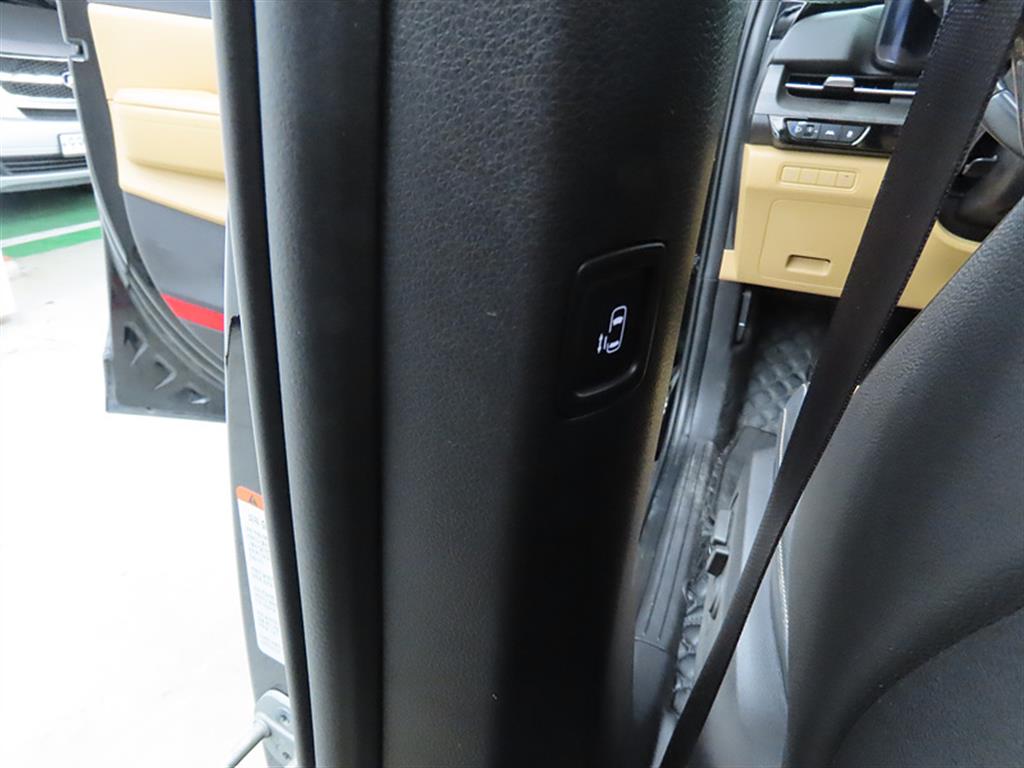 KIA Carnival - Vista 12