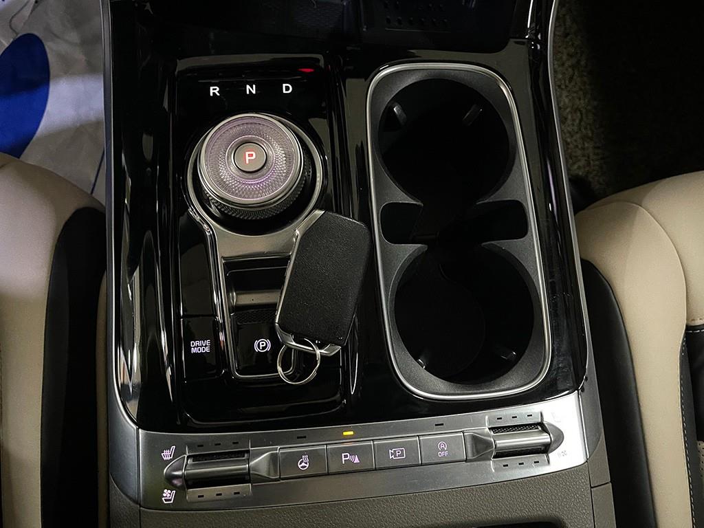 KIA Carnival - Vista 12