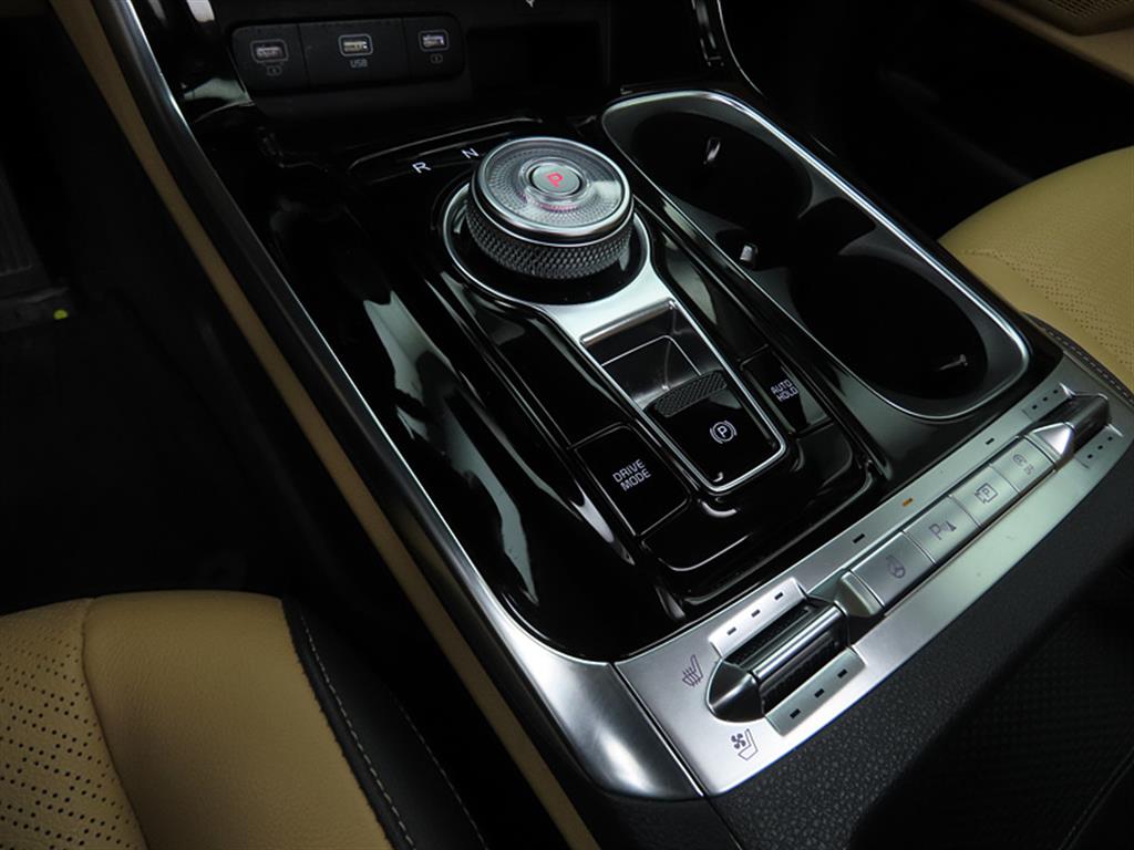 KIA Carnival - Vista 11