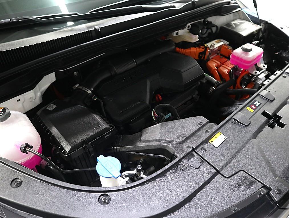 KIA Carnival - Vista 6