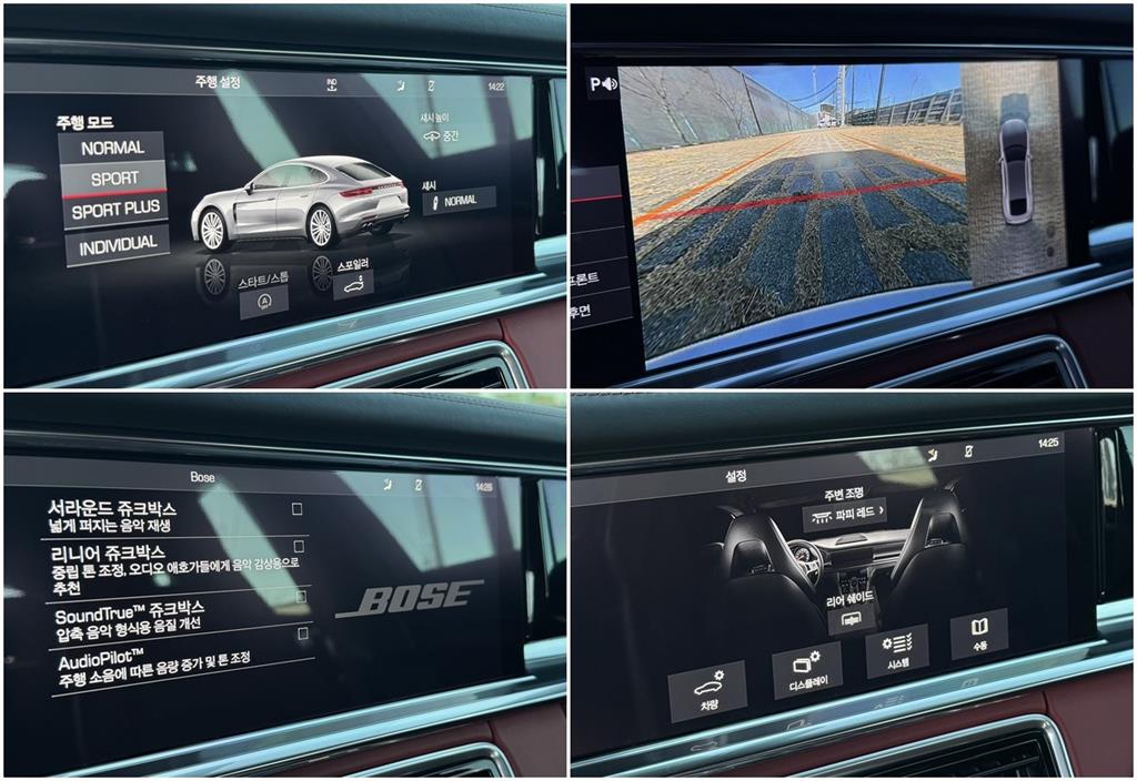 Porsche Panamera - Vista 10