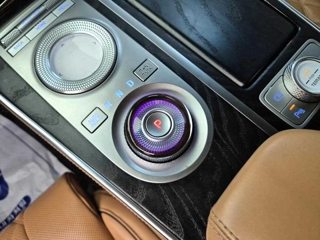 Genesis GV80 - Vista 8