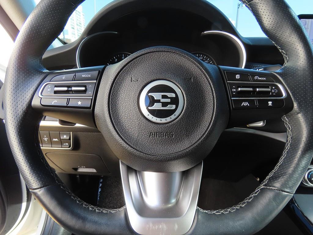 KIA Stinger - Vista 10