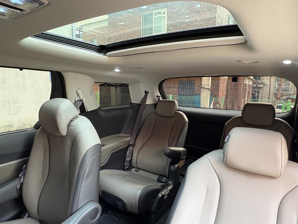 KIA Carnival - Vista 12