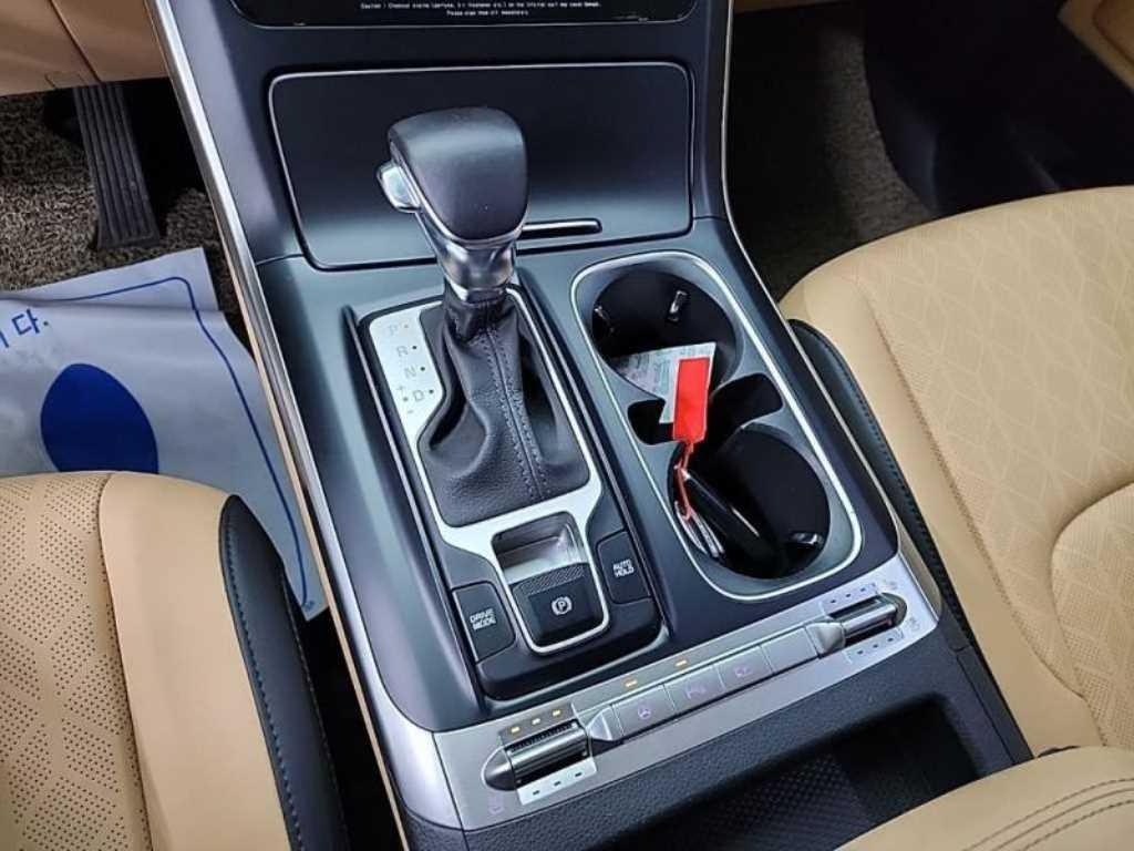 KIA Carnival - Vista 8