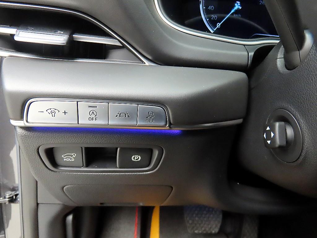 Genesis GV80 - Vista 12