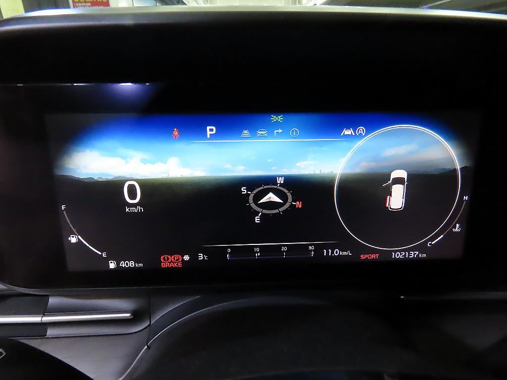 KIA Carnival - Vista 9