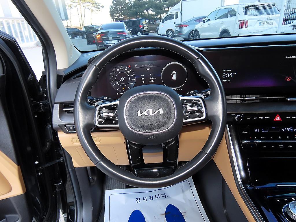 KIA Carnival - Vista 8