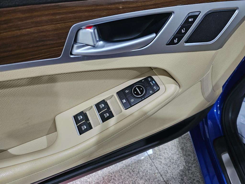 Genesis G80 - Vista 12