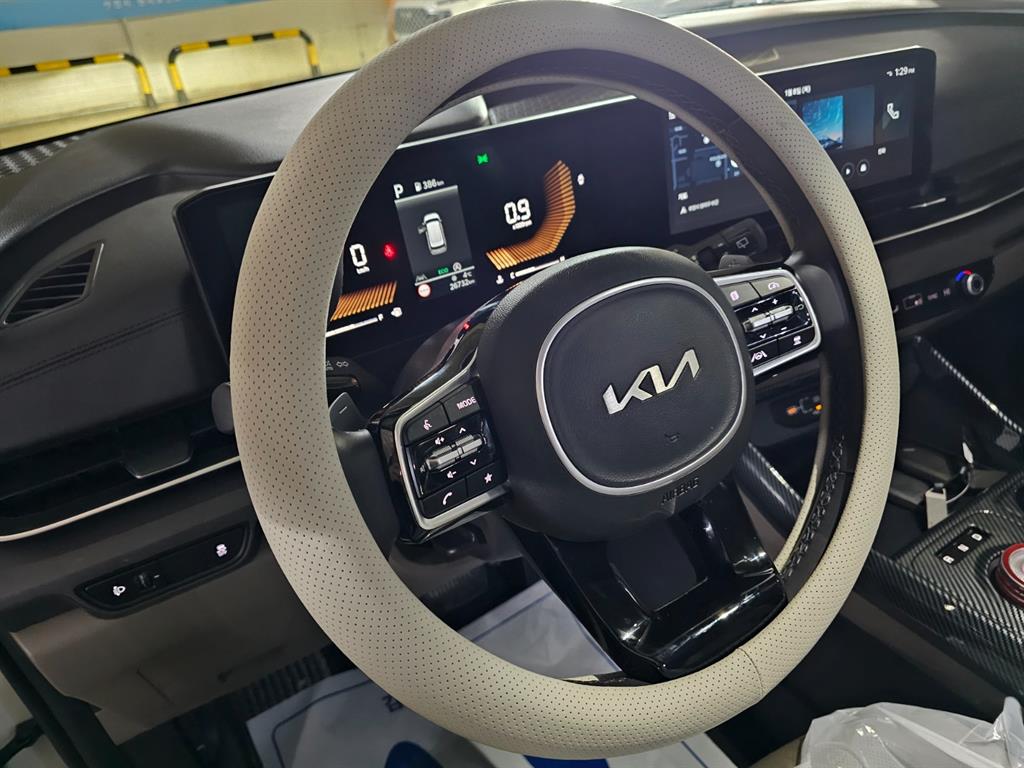 KIA Carnival - Vista 12