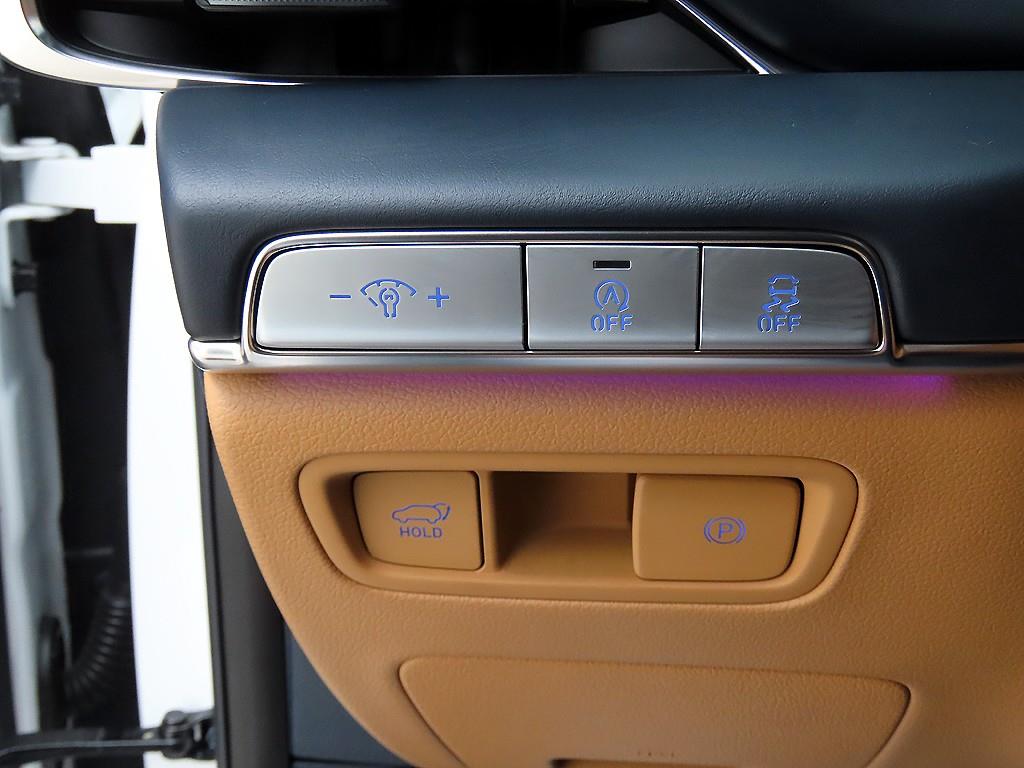 Genesis GV80 - Vista 12