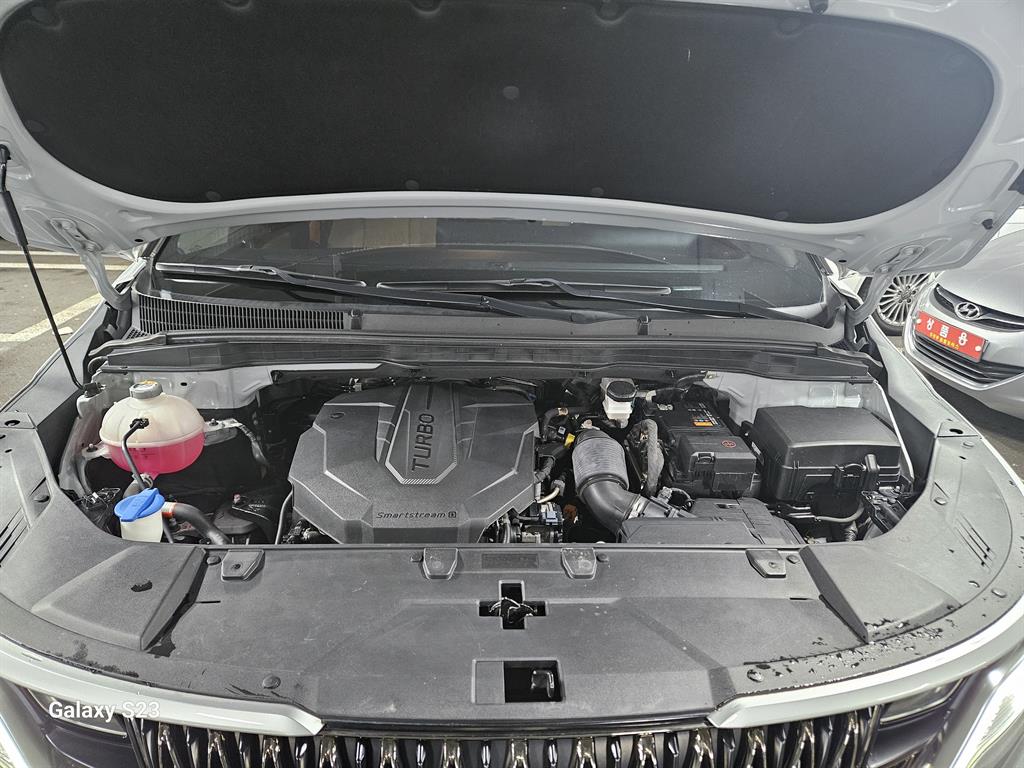 KIA Carnival - Vista 12