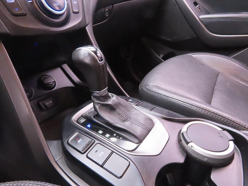 HYUNDAI Maxcruz - Vista 11