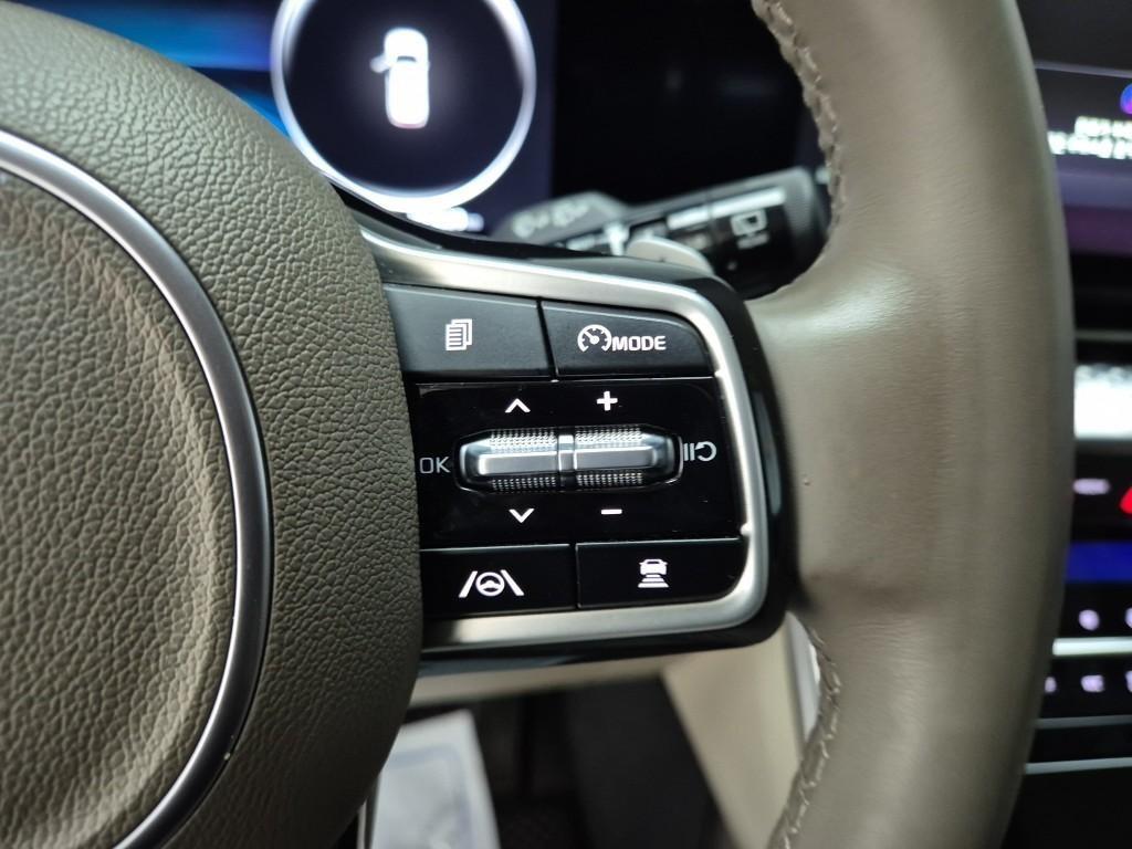 KIA Carnival - Vista 8