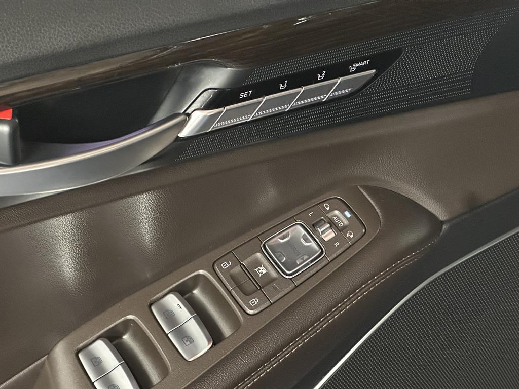 Genesis EQ900 - Vista 10