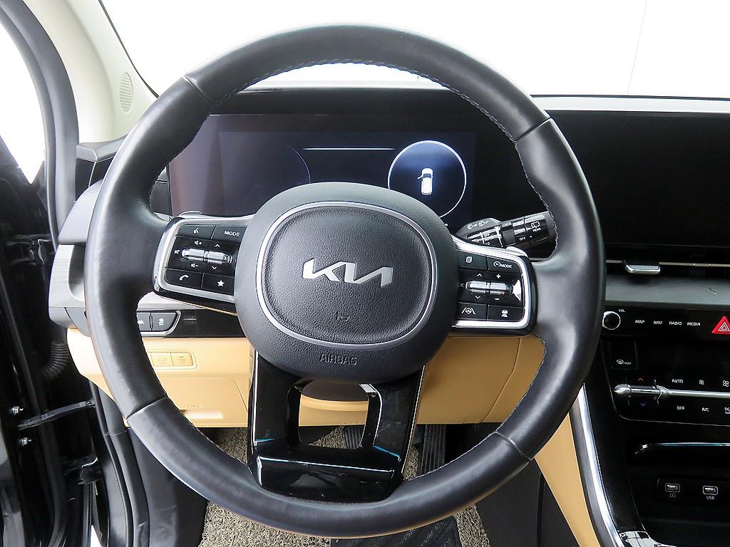 KIA Carnival - Vista 11