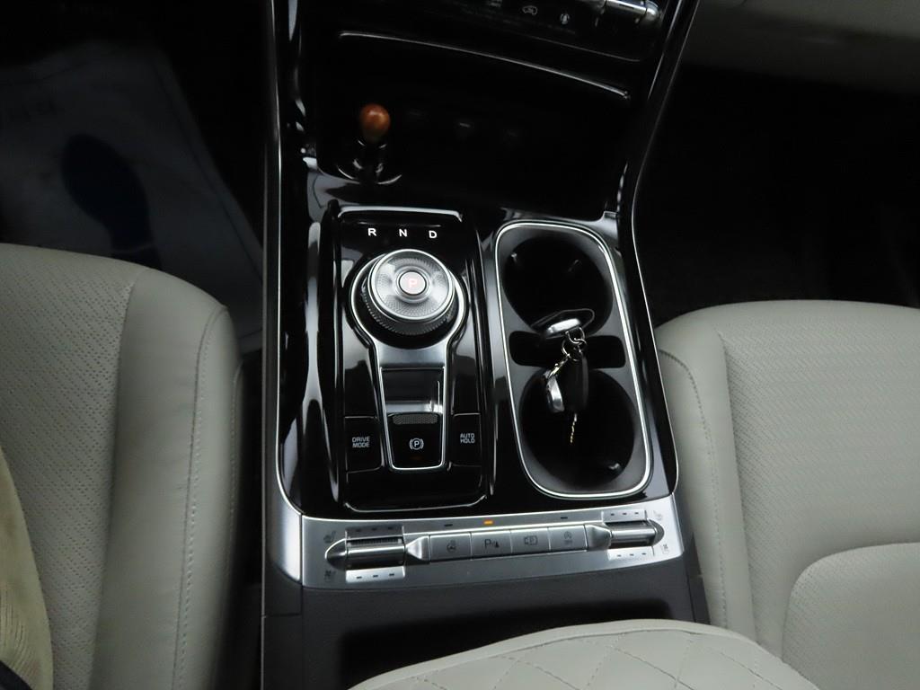 KIA Carnival - Vista 11