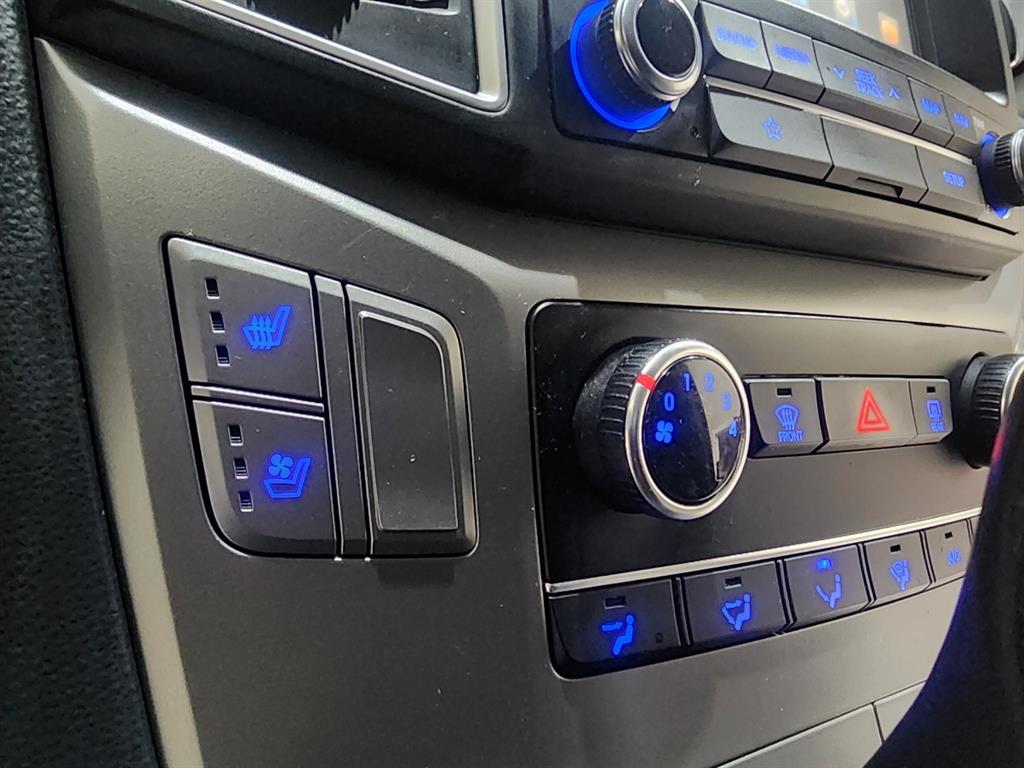 HYUNDAI Starex - Vista 12